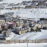 Sabica Sierra Nevada